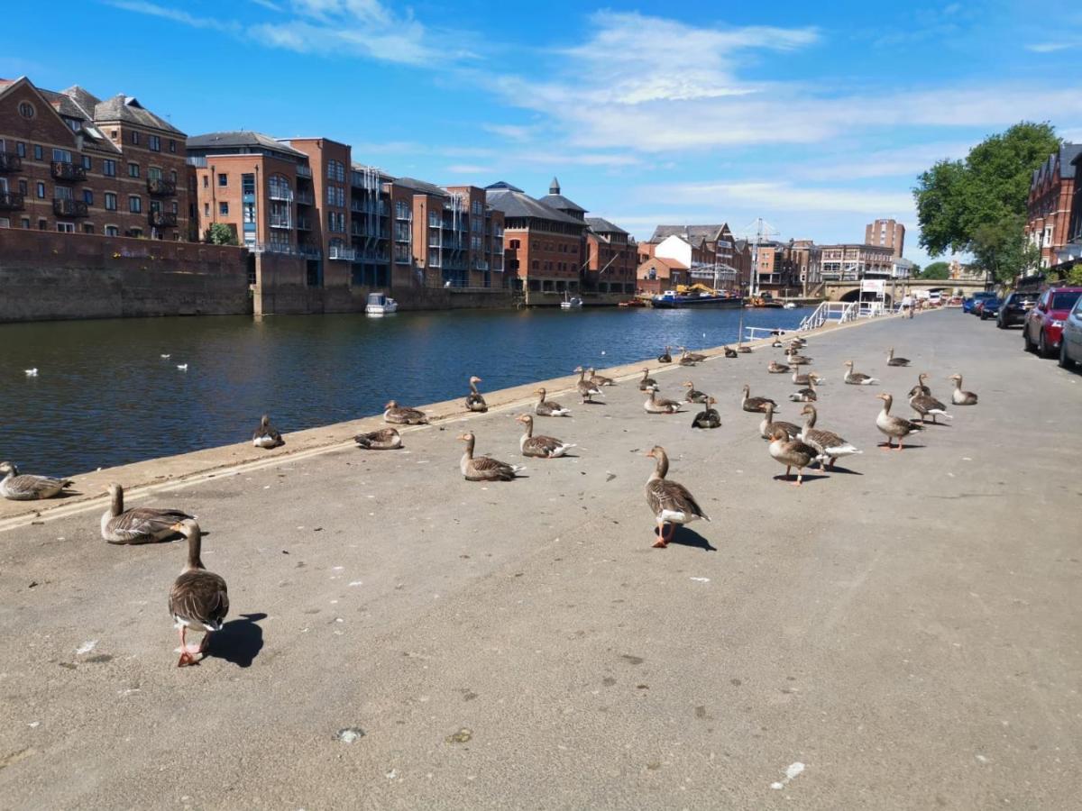Hartoft St - 2 Bed Near River York Exterior photo